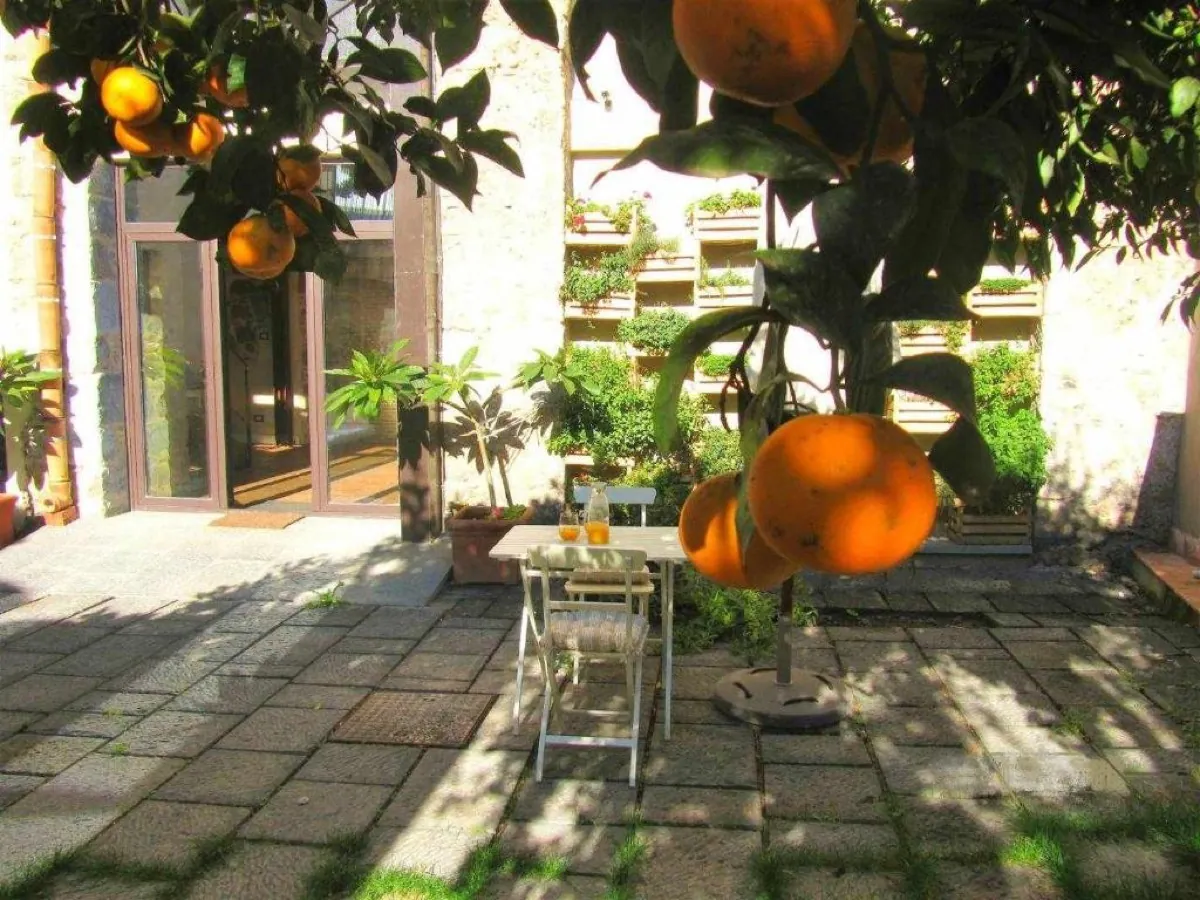 Arance mature in primo piano con la corte e il tavolino della colazione sullo sfondo
